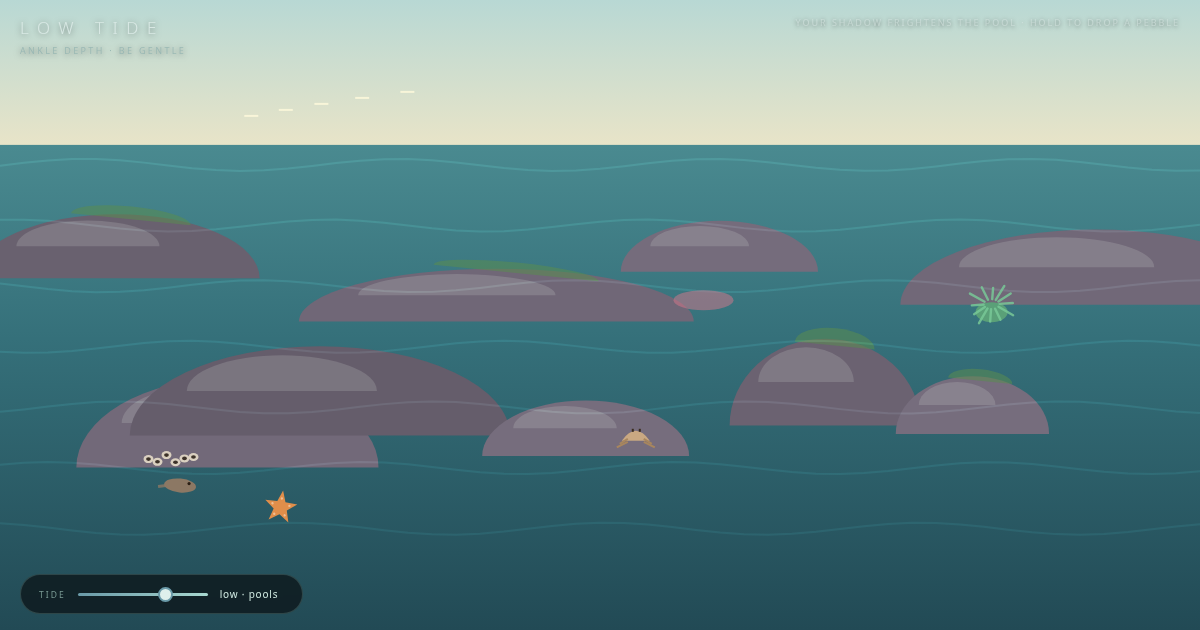 LOW TIDE — an interactive tide pool