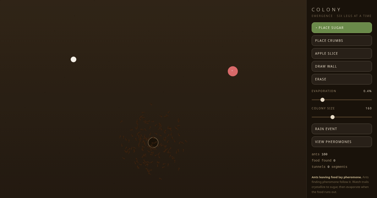 COLONY — an ant colony toy